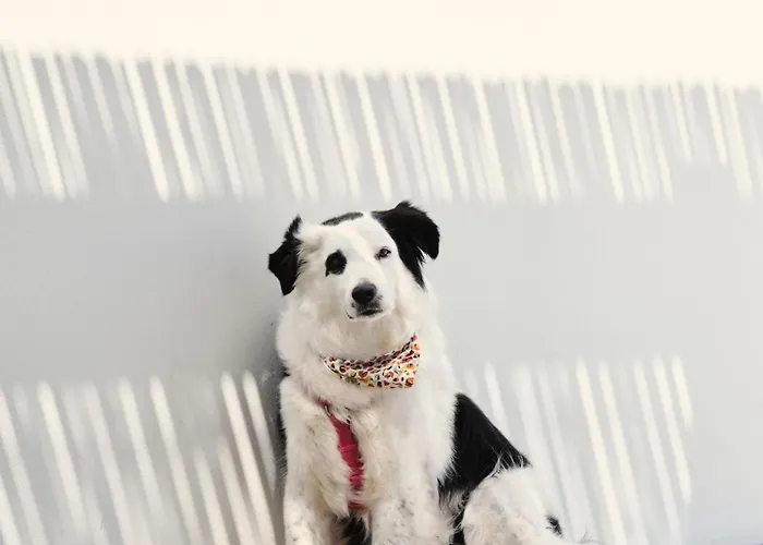 Mosaic Villas, Paros Vila